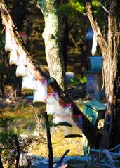 Austin Arts Museum, Austin Museum, Austin Mexiarte Museum