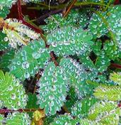 Austin Art Gallery, Art Garage, Laguna Gloria, Museum of Art, UT Fine Arts