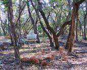 Austin Art Galleries Austin Tx Texas