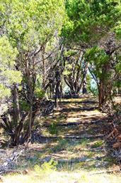 Austin Texas News Weather